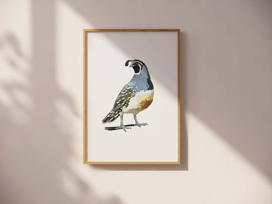 Quail